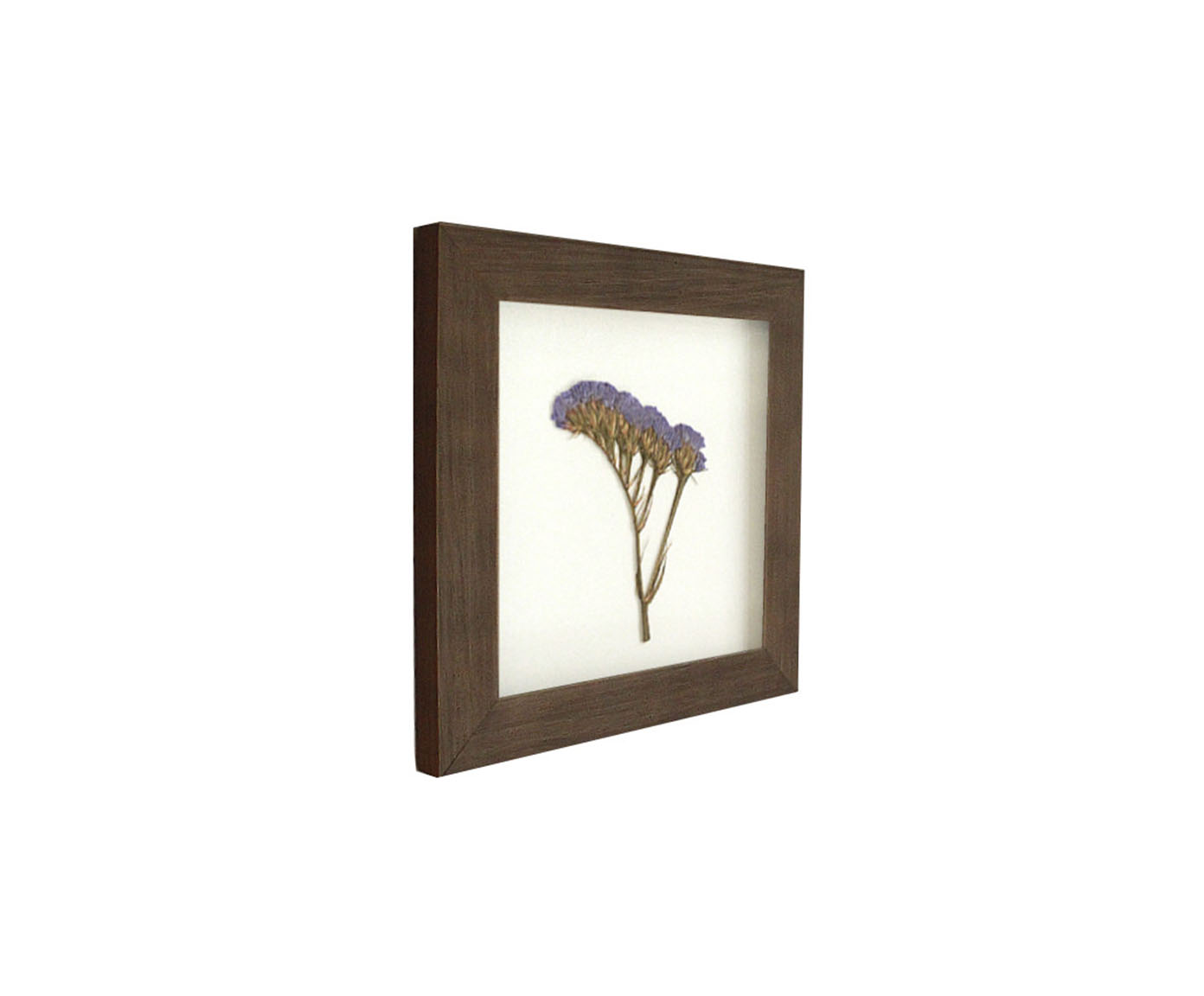 Quadro Statice Roxa Imbuia image number 1