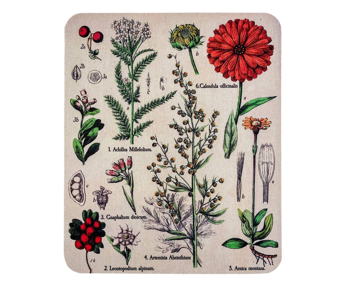 Mousepad Botany - image 0