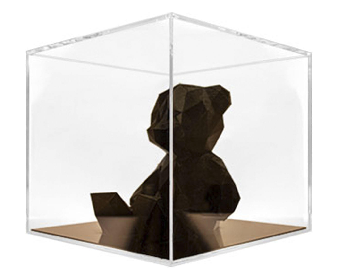 Teddy Black image number 0