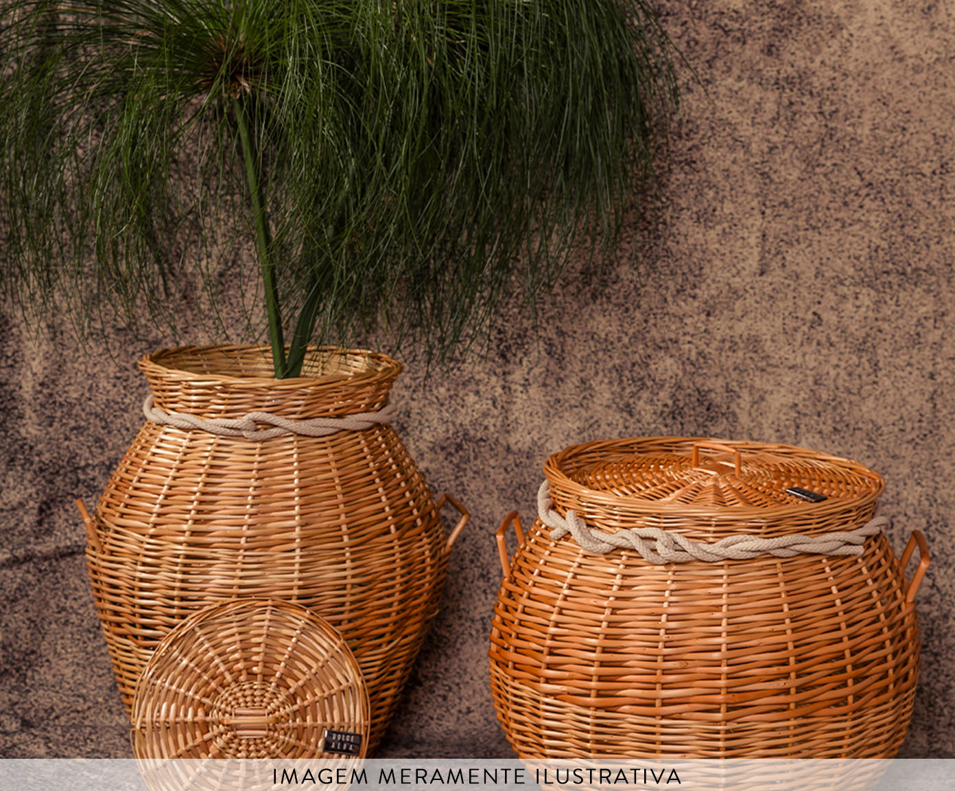 Cesto Agave Natural image number 4