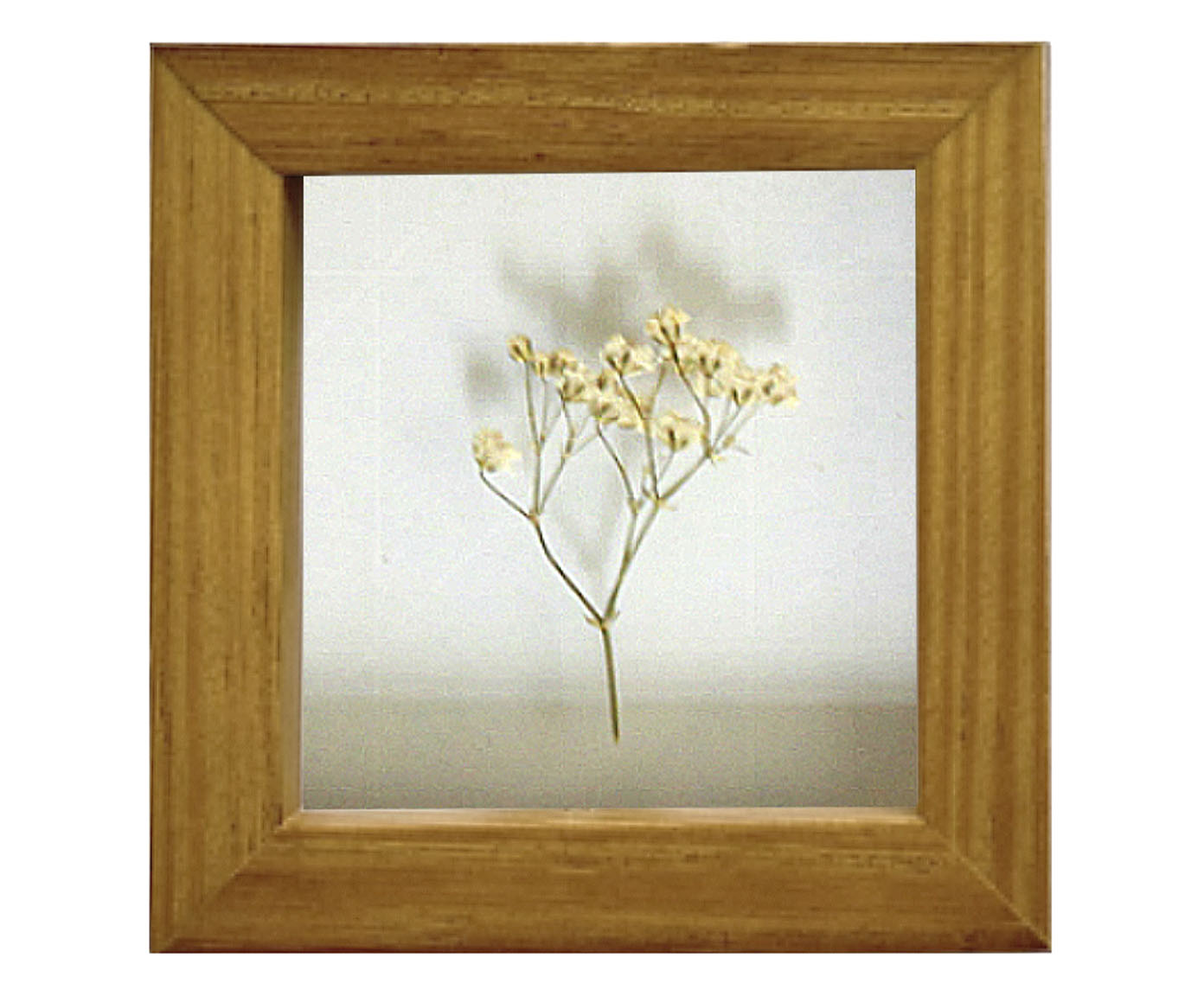 Quadro Mosquitinho Mel image number 0