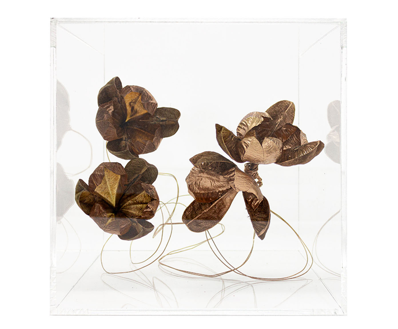 Caixa Decorativa Zeitz Bronze - image 0