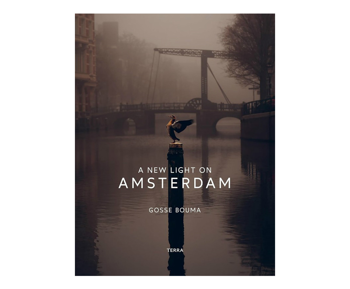 Livro "A New Light On Amsterdam" - image 0