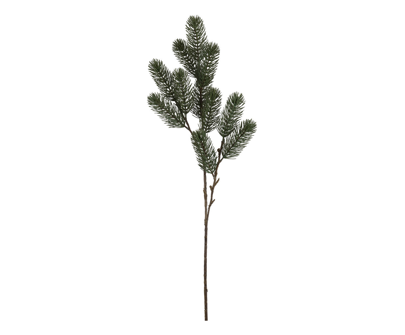 Planta Permanente Pino - image 0