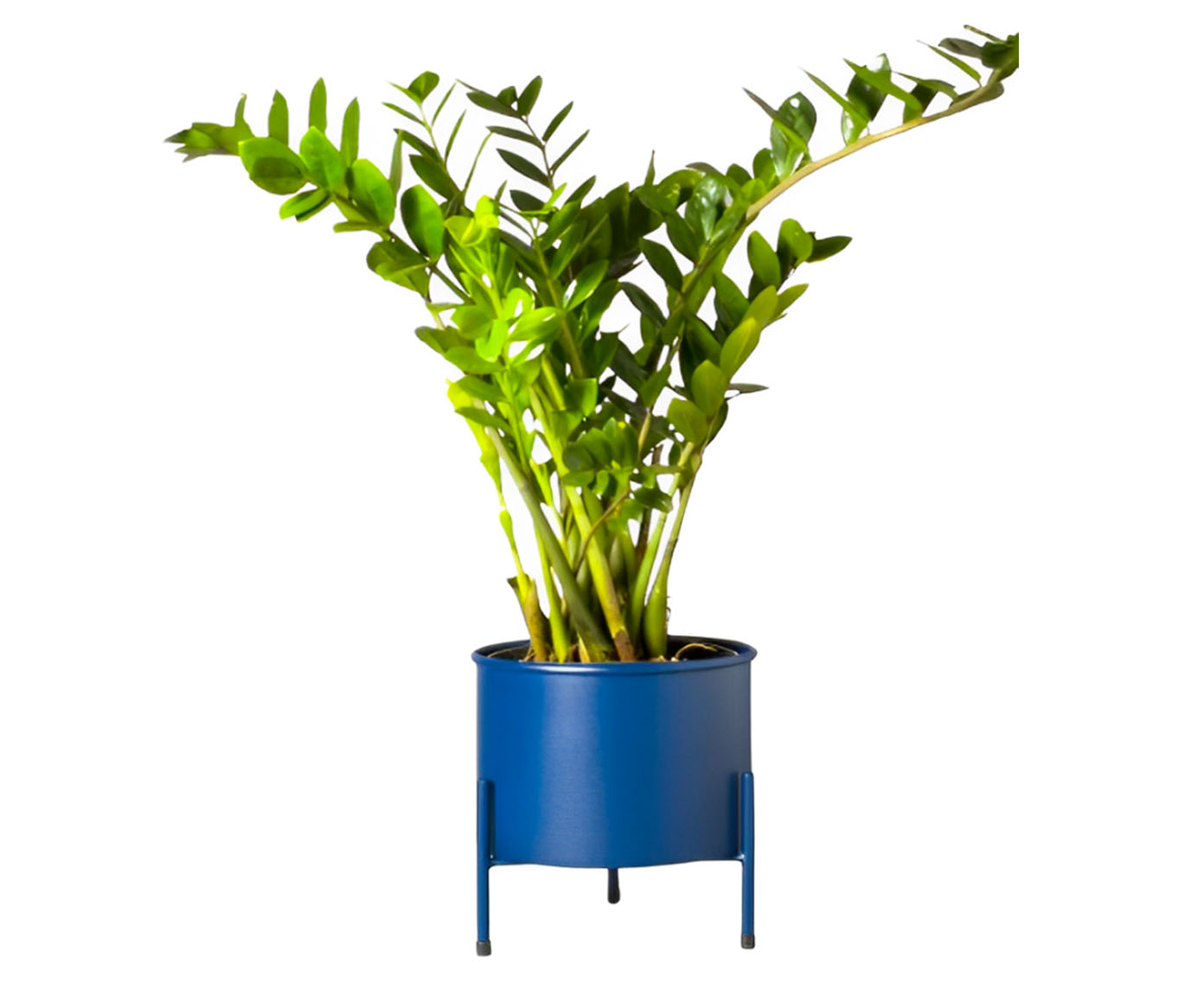 Suporte de Plantas com Vaso Slim Humait&aacute; Azul image number 0