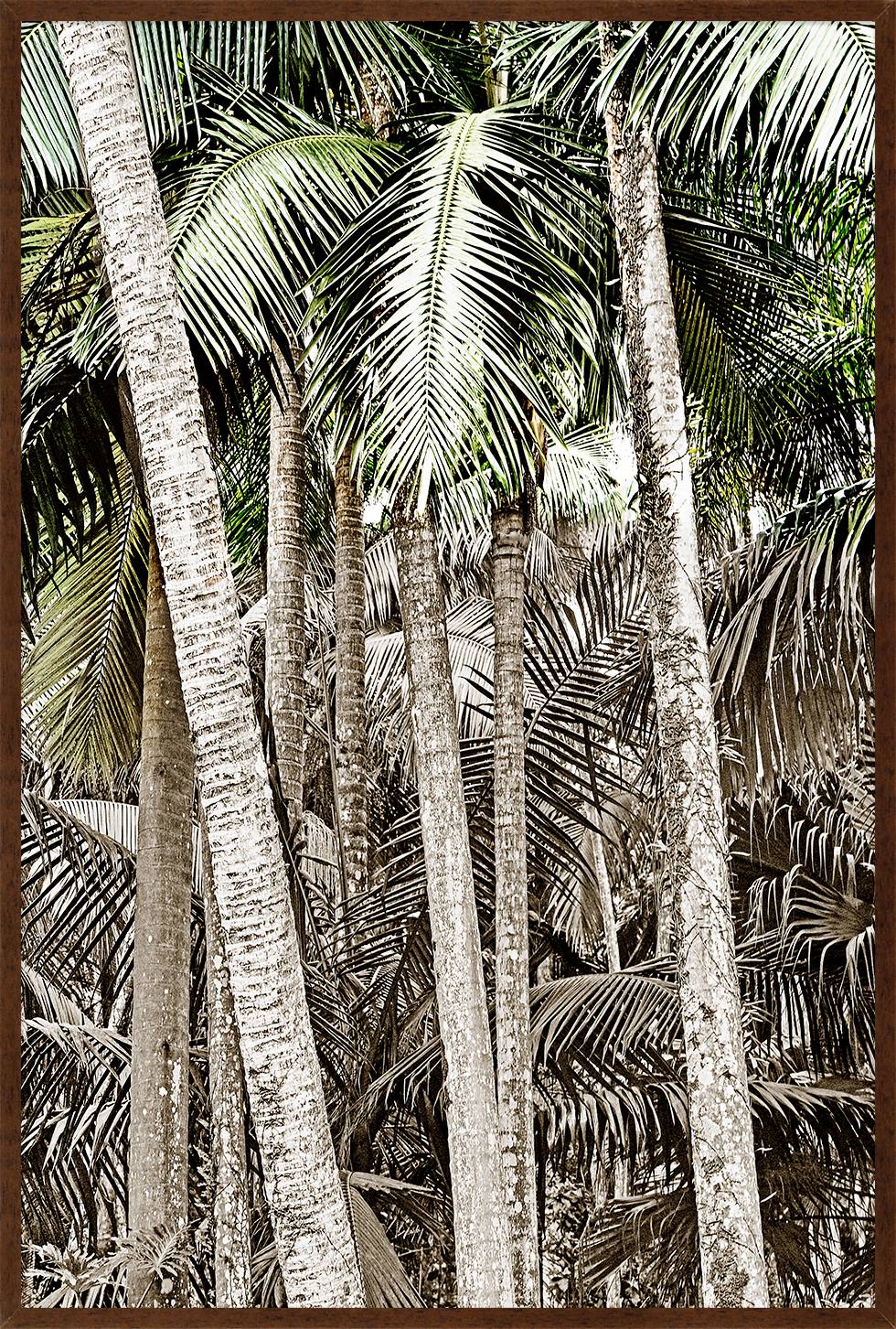 Quadro com Vidro Palmeiras Sienna II - 123X83 image number 0