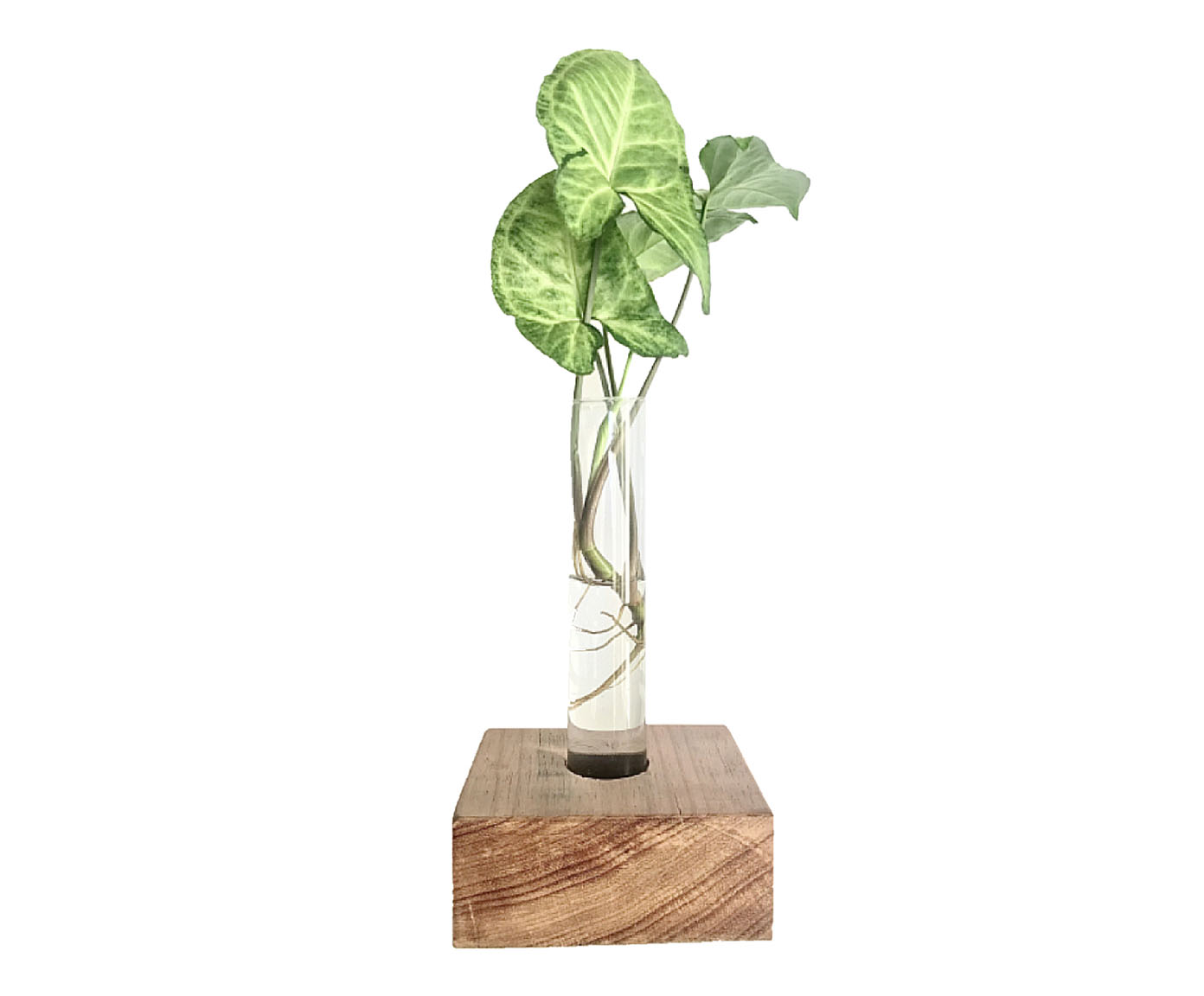 Vaso Tubo image number 1
