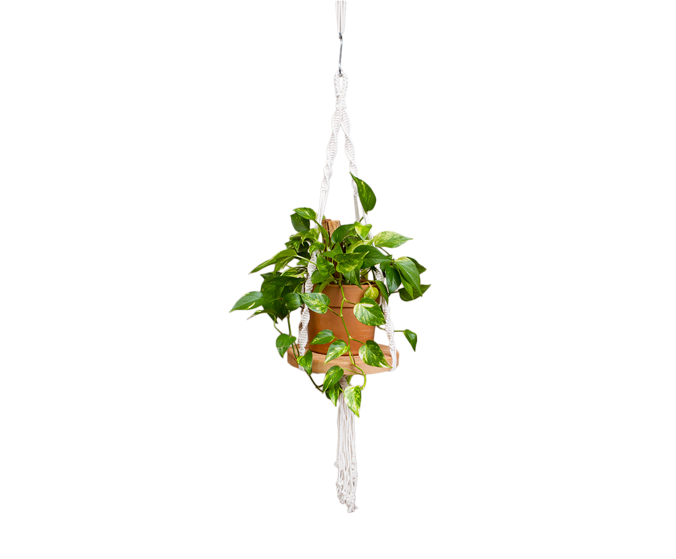 Hanger em Macram&ecirc; Shelf Cru image number 5