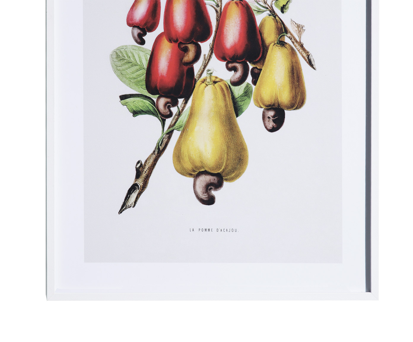 Quadro Decorativo Alceu image number 3