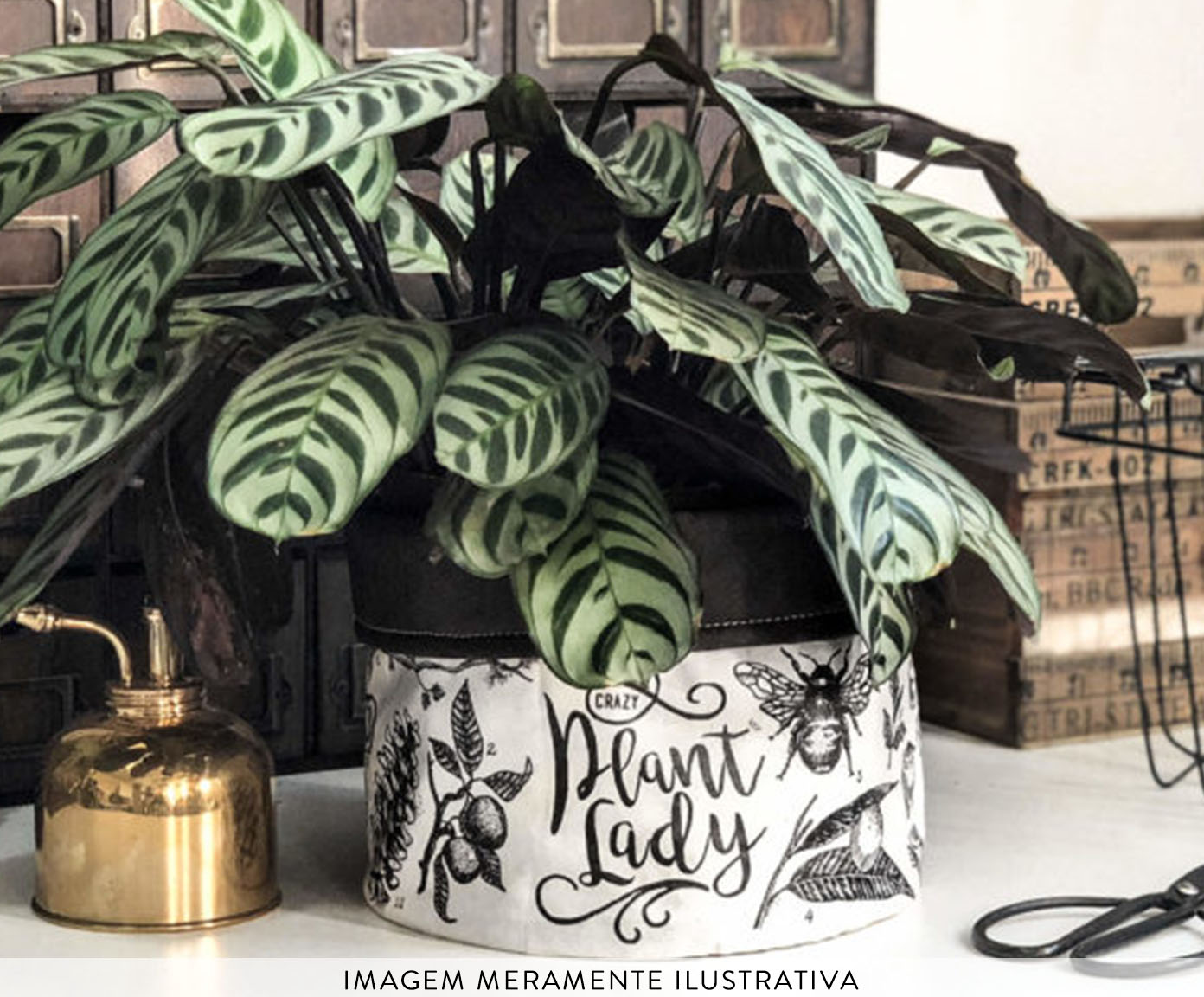 Cachepot Crazy Plant Lady Preto e Branco image number 1