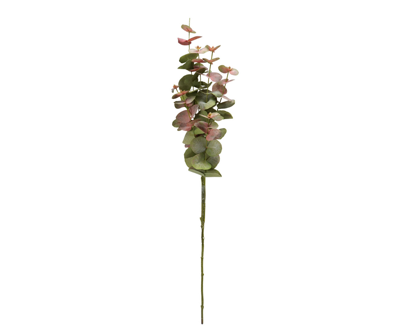 Flor Artificial Decorativa Eucalipto Mavramorn - image 0
