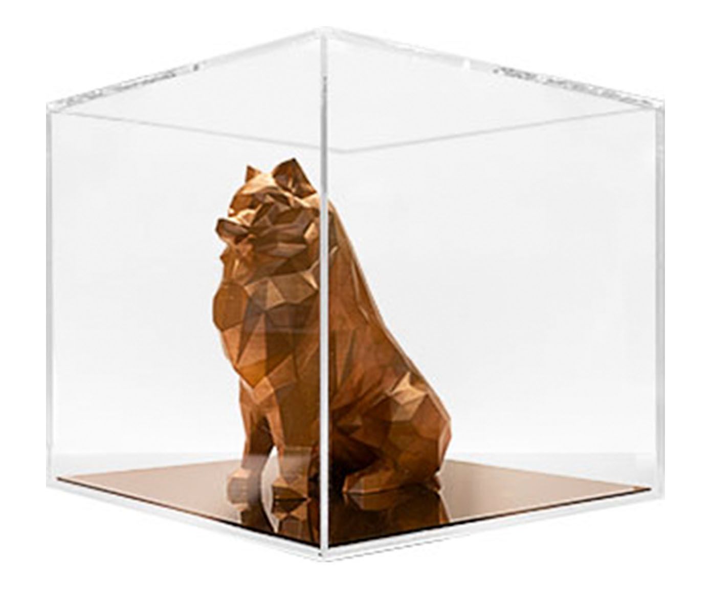 Spitz Lulu Bronze image number 0