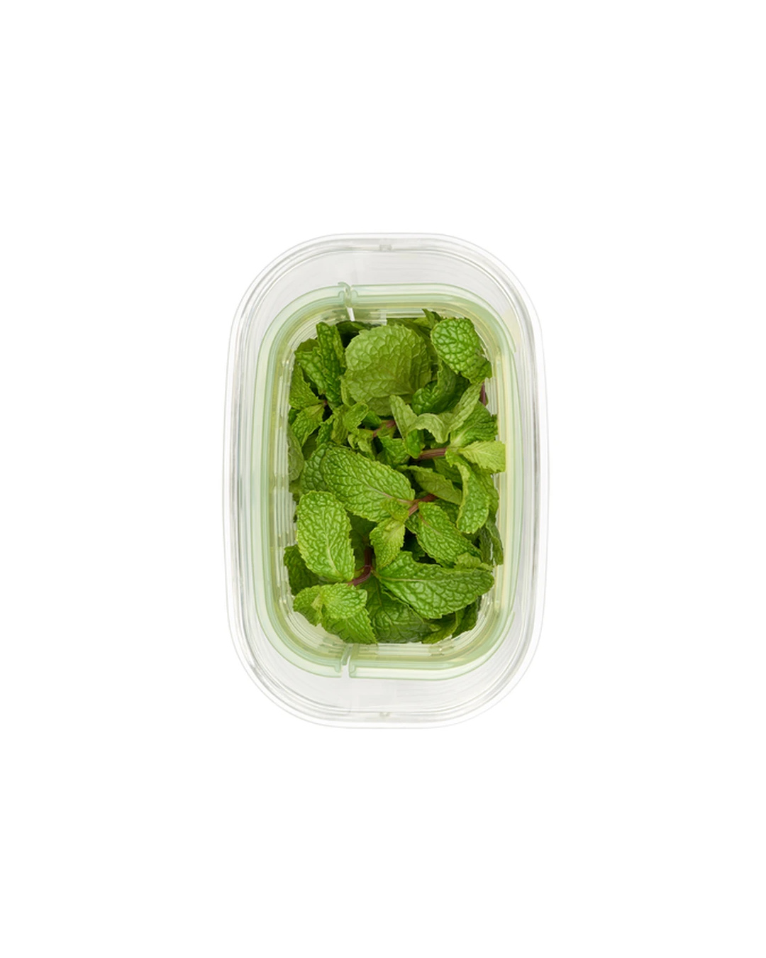 Pote para Ervas Greensaver image number 3