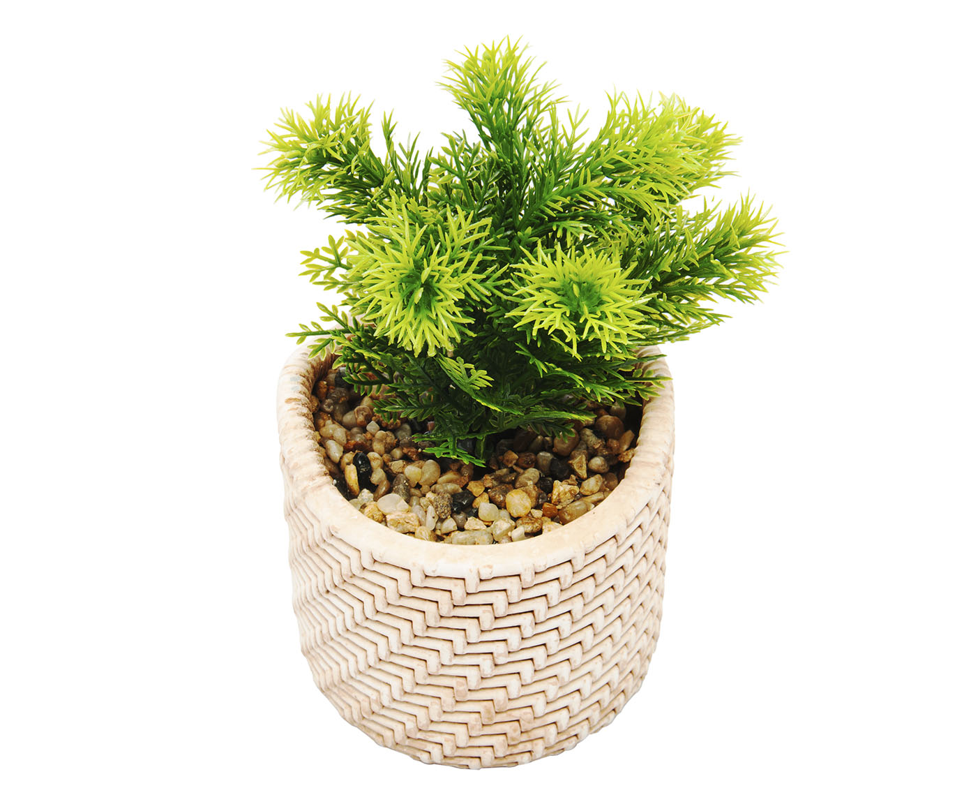 Cachepot Palha com Suculenta image number 2
