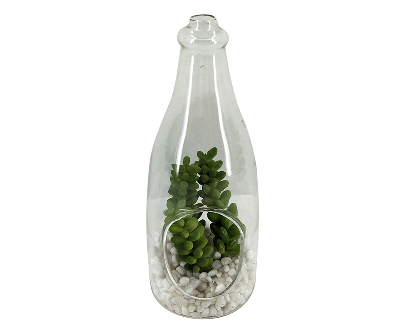Terr&aacute;rio Maiches - Transparente image number 0