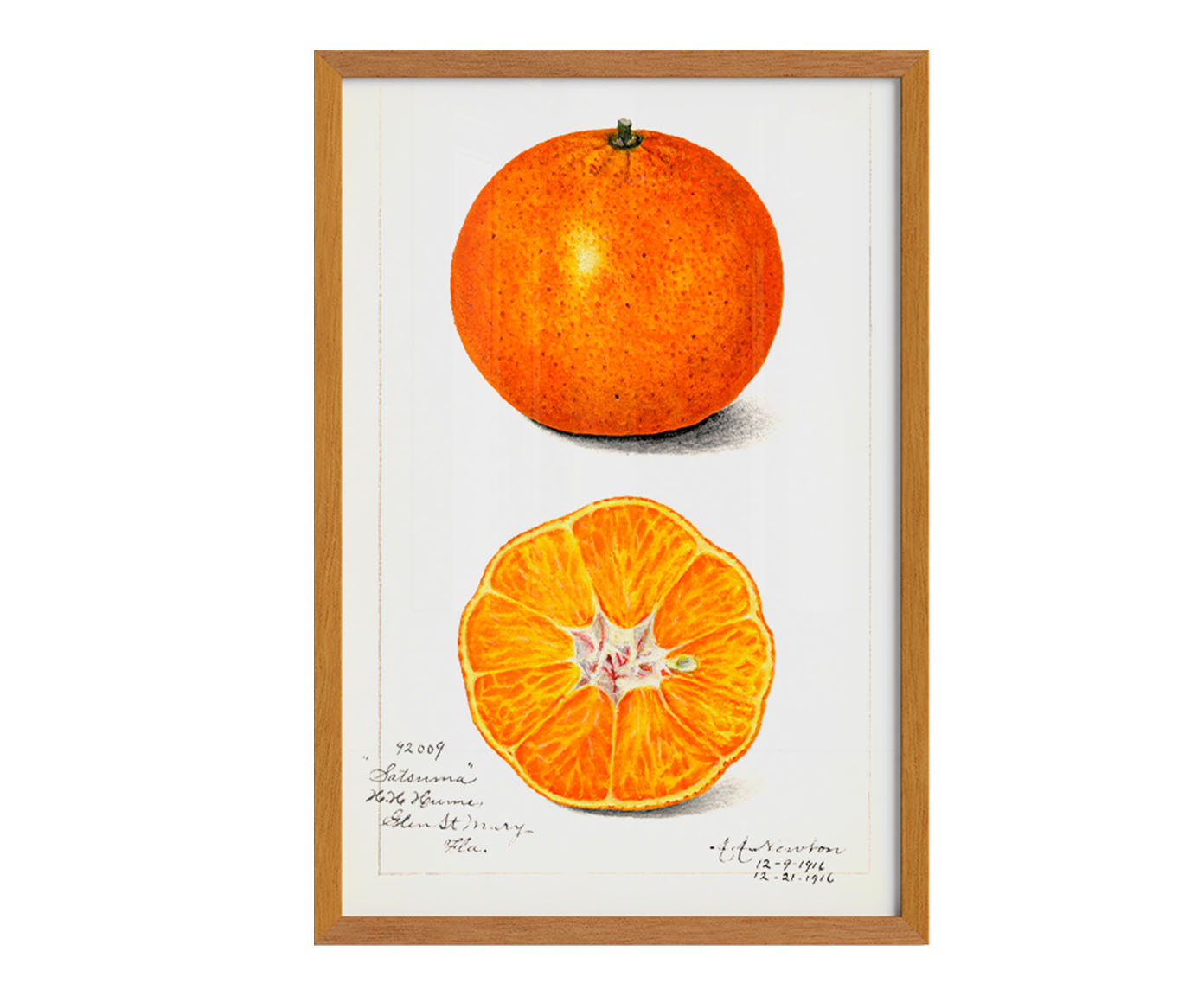 Quadro Laranja Vintage com Moldura em Madeira image number 1