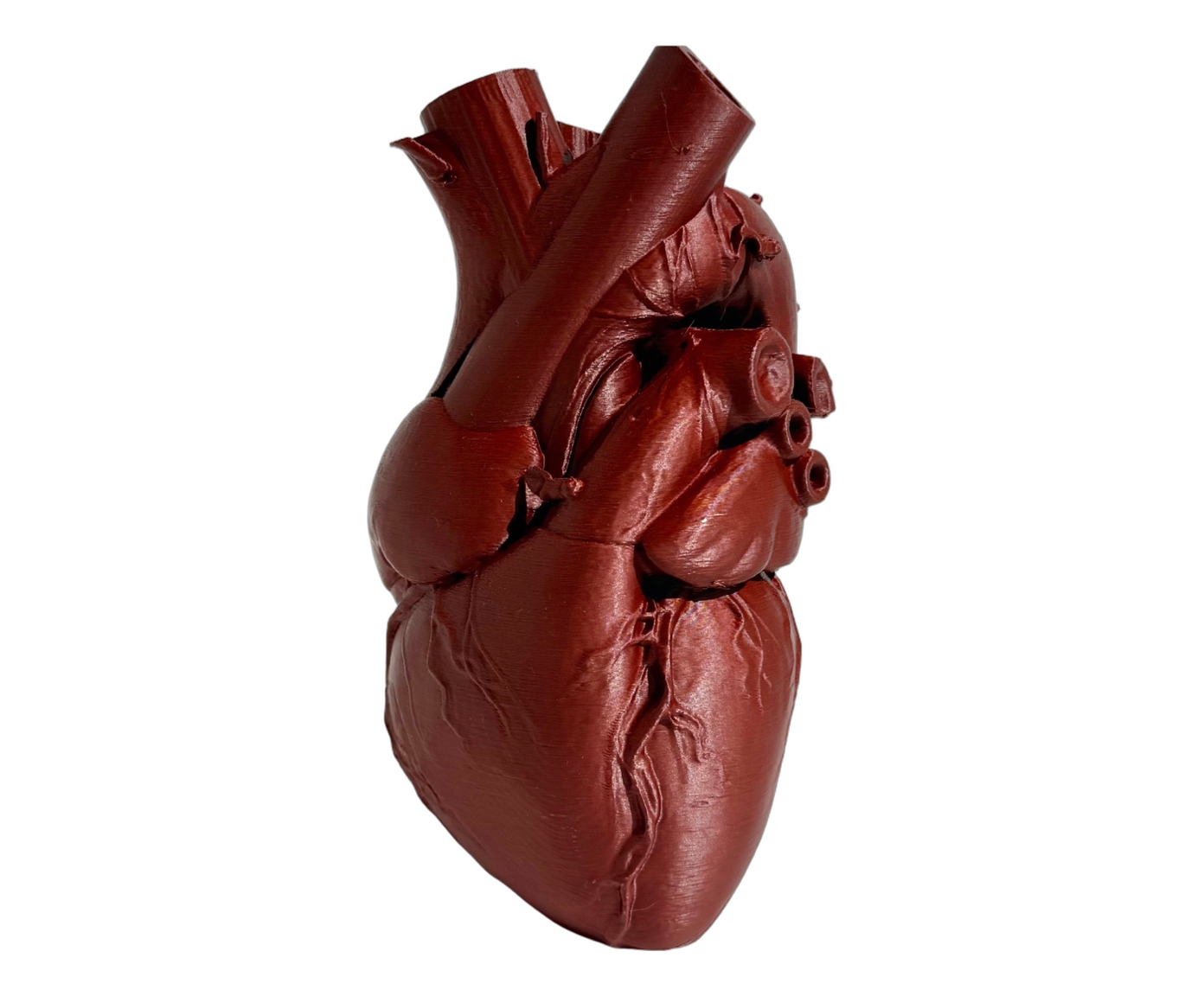 Vaso Heart Deep Red - image 0