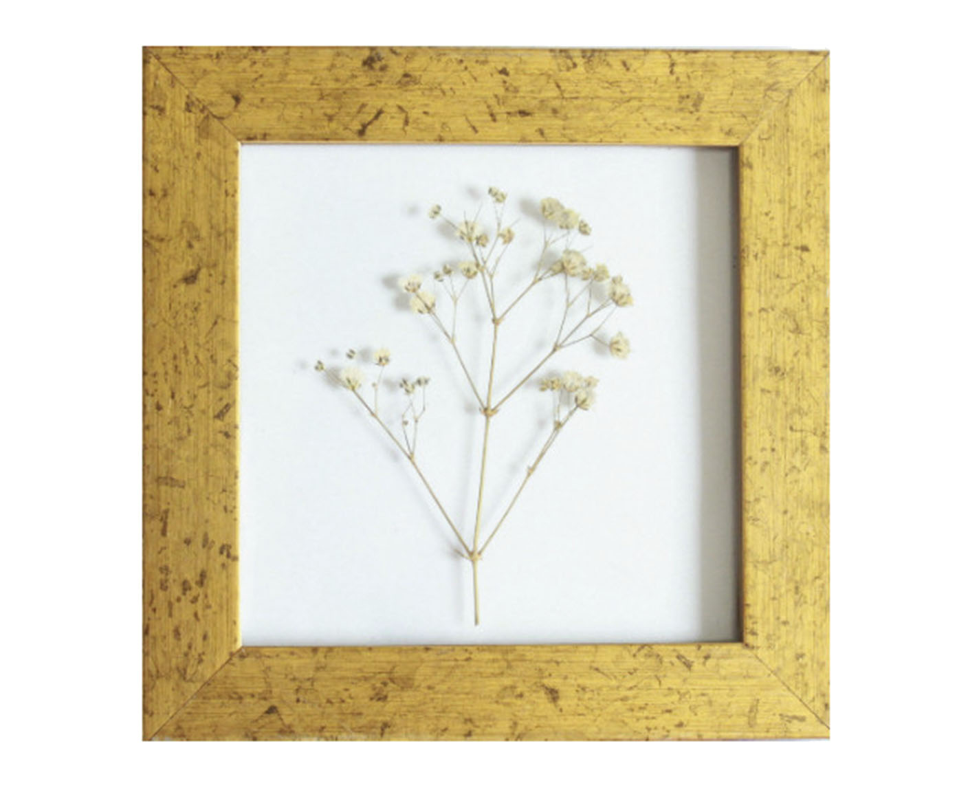 Quadro Dourado Mosquitinho image number 0