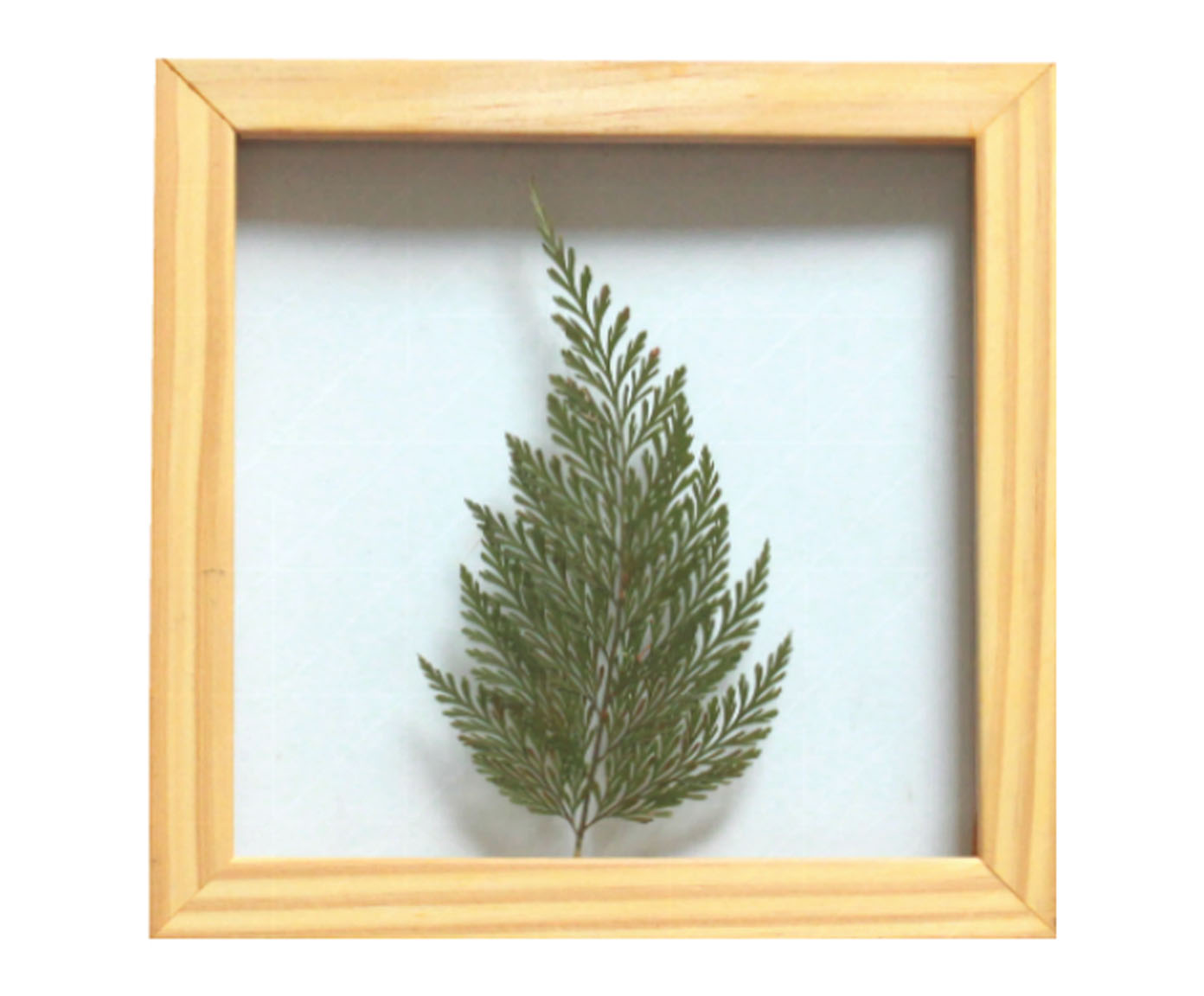 Quadro Renda Portuguesa image number 0