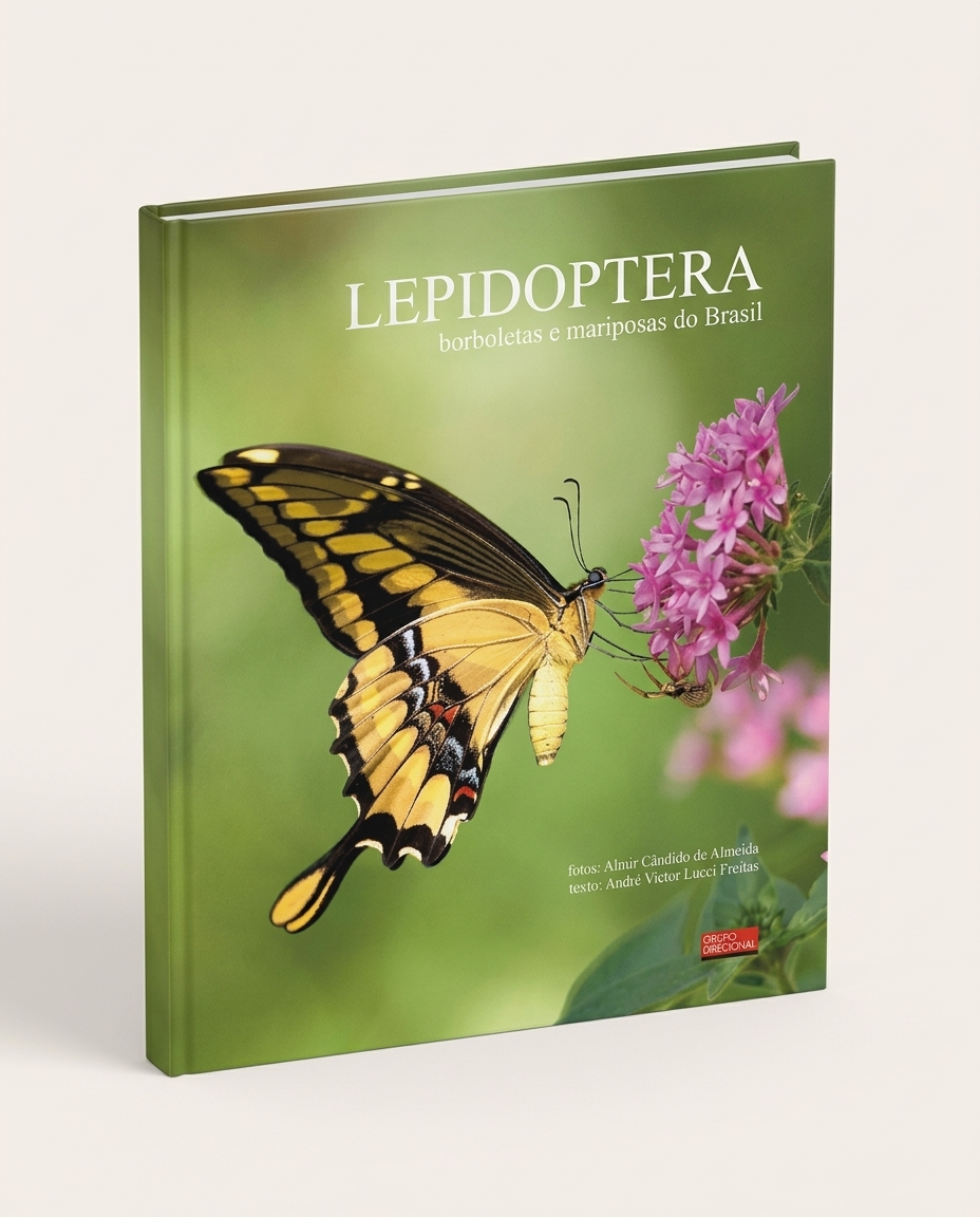Livro "Lepidoptera - Borboletas E Mariposas Do Brasil" image number 4
