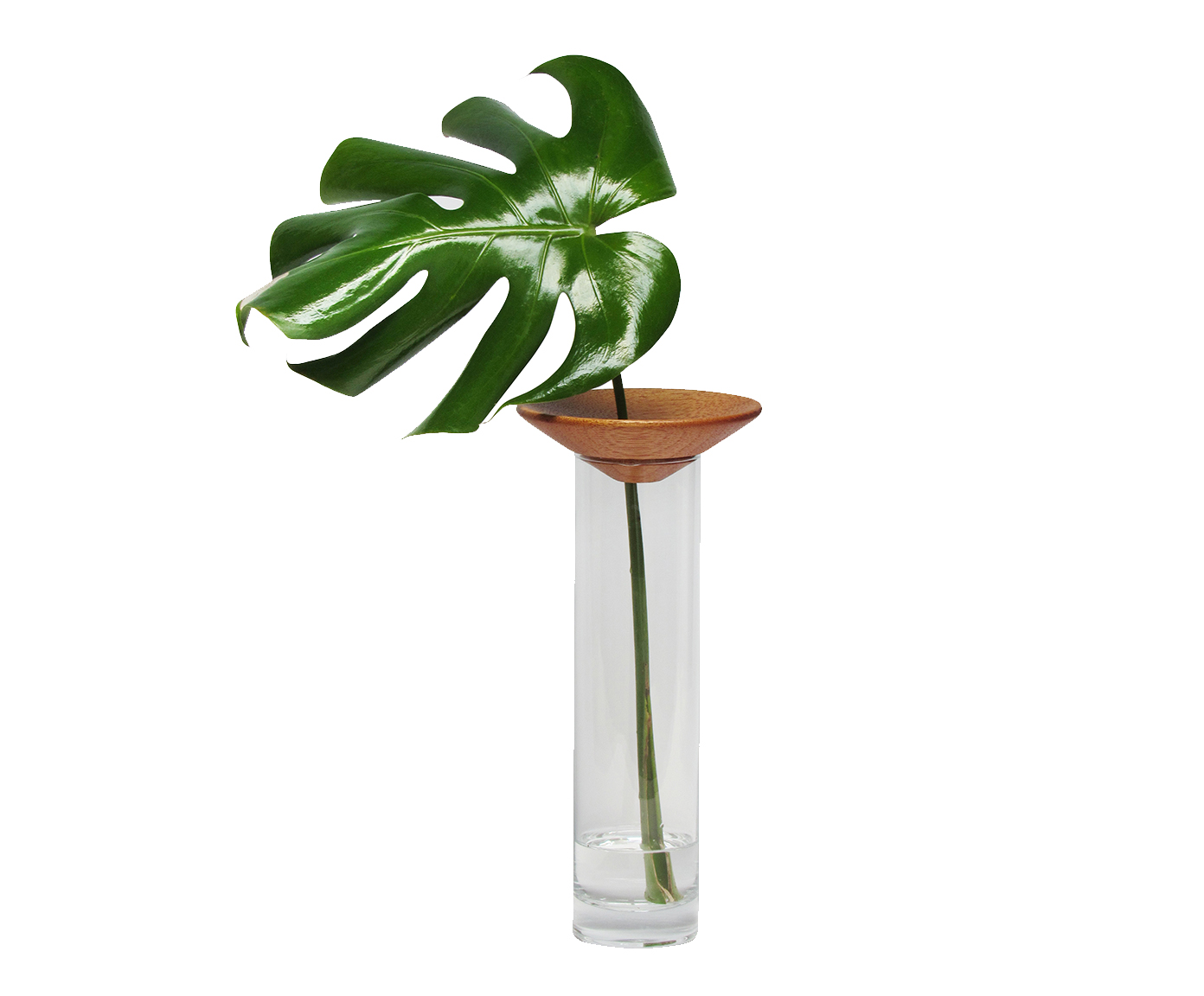 Vaso Baob&aacute; Pequeno - image 0
