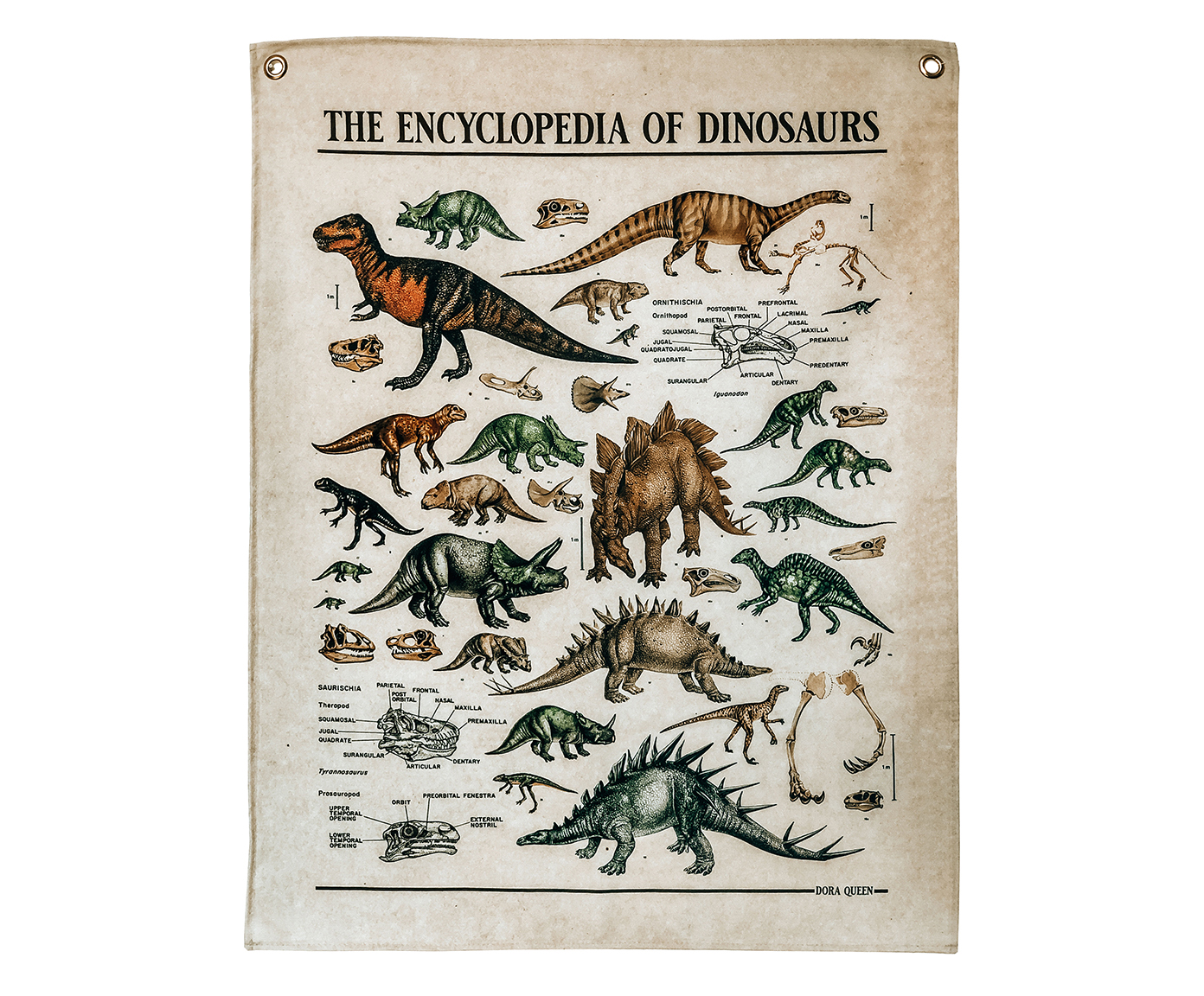 Tecido de Parede Dinossauros image number 0