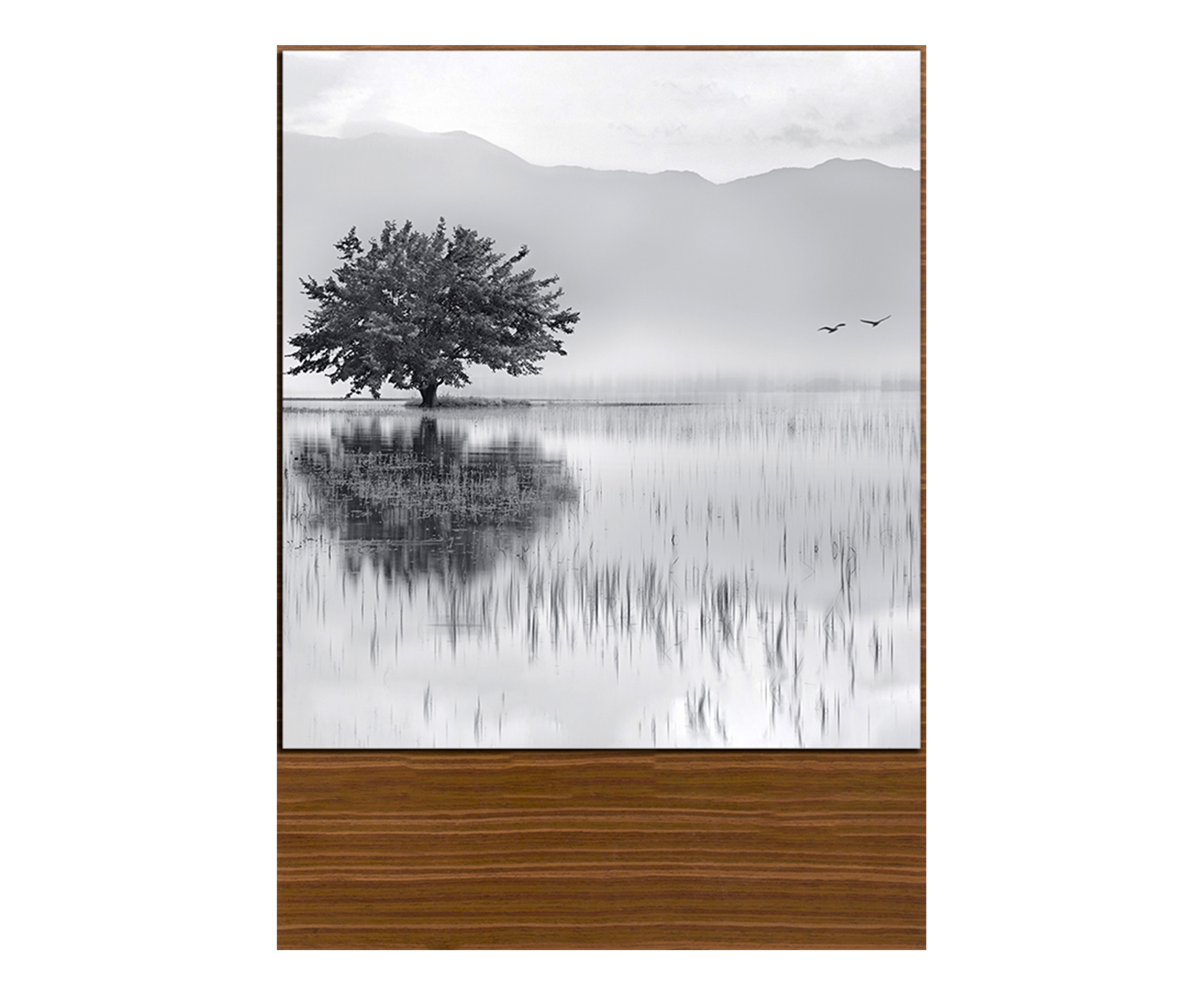 Quadro Nature White image number 0