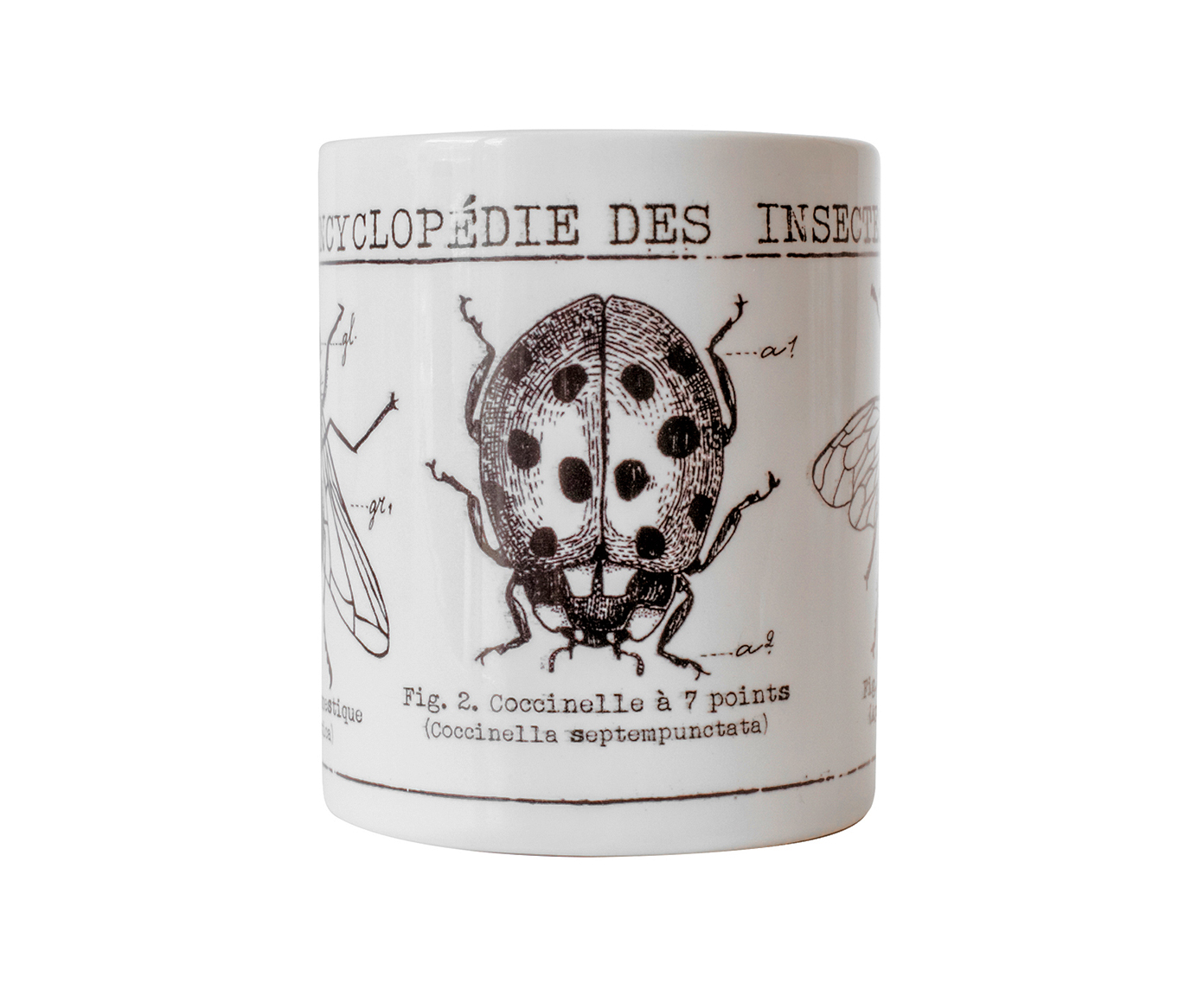 Caneca Les Insectes image number 1