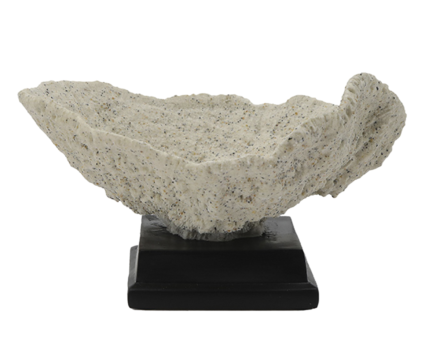 Adorno Decorativo de Coral Turbinaria Bege - image 0