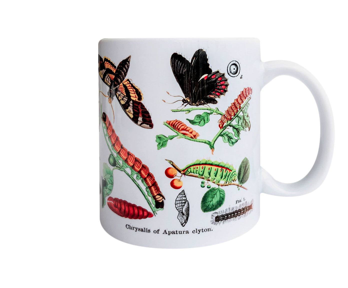 Caneca Papilio image number 0