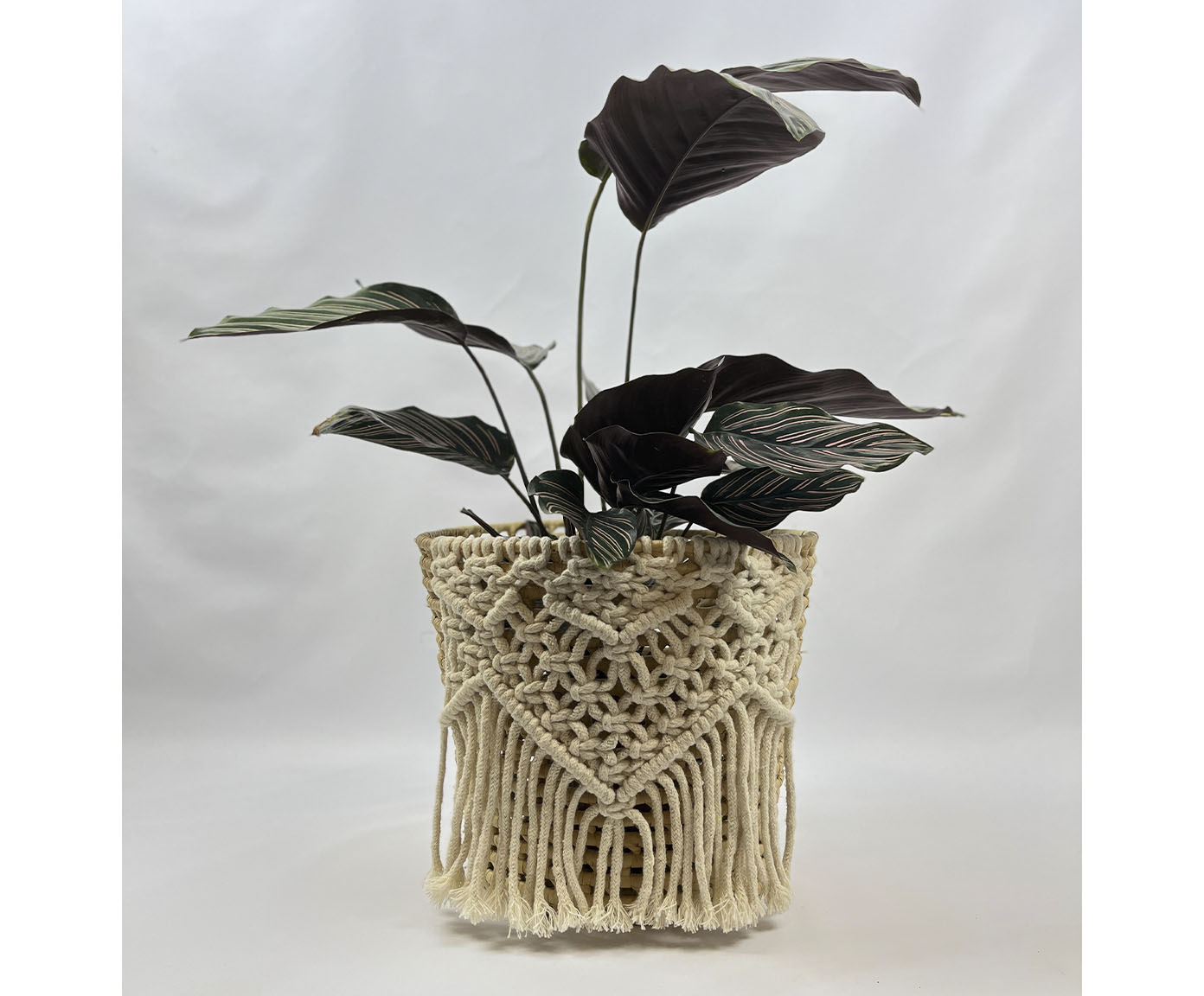 Cachepot Hygge image number 1