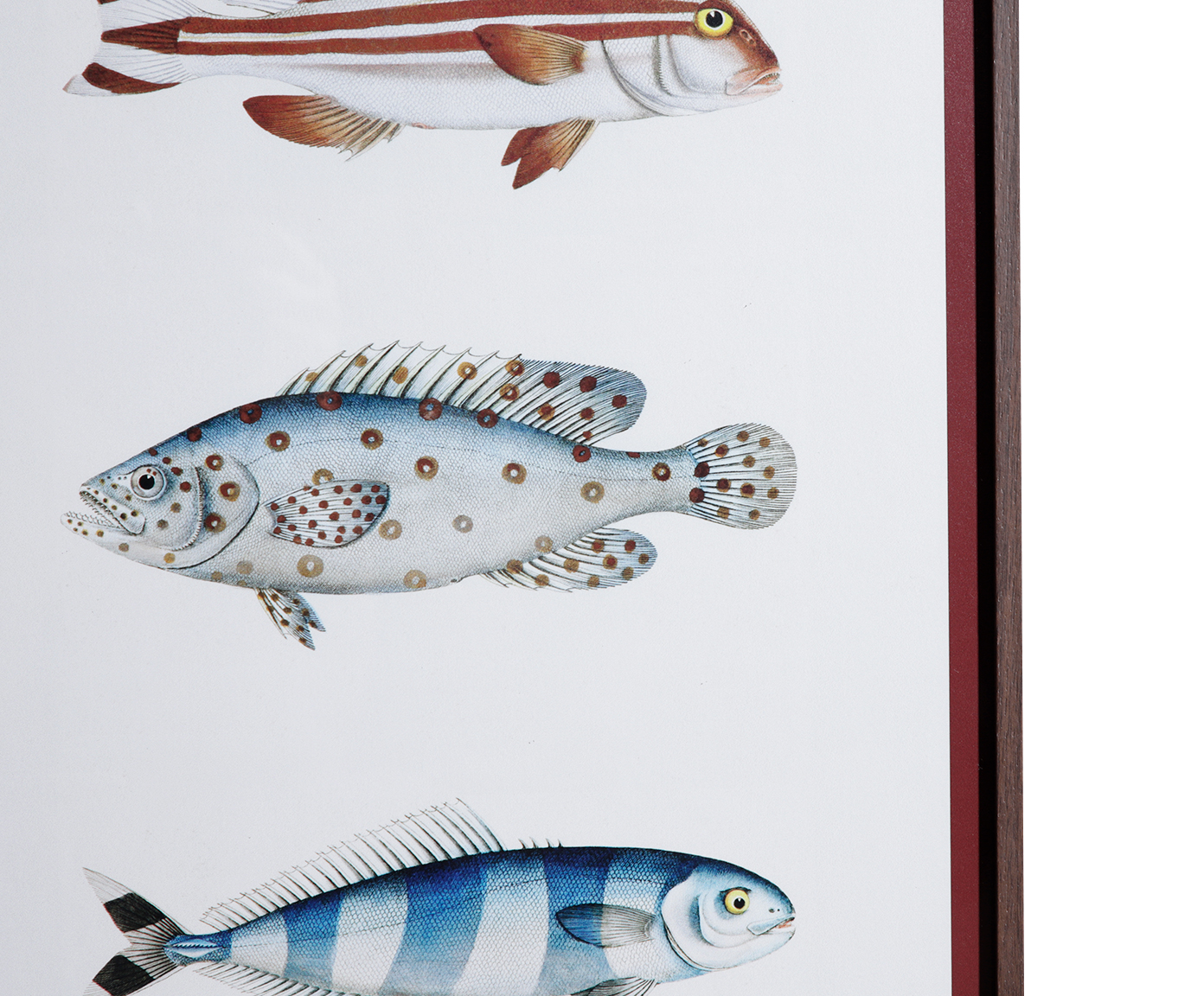 Quadro Decorativo Pescaria image number 3
