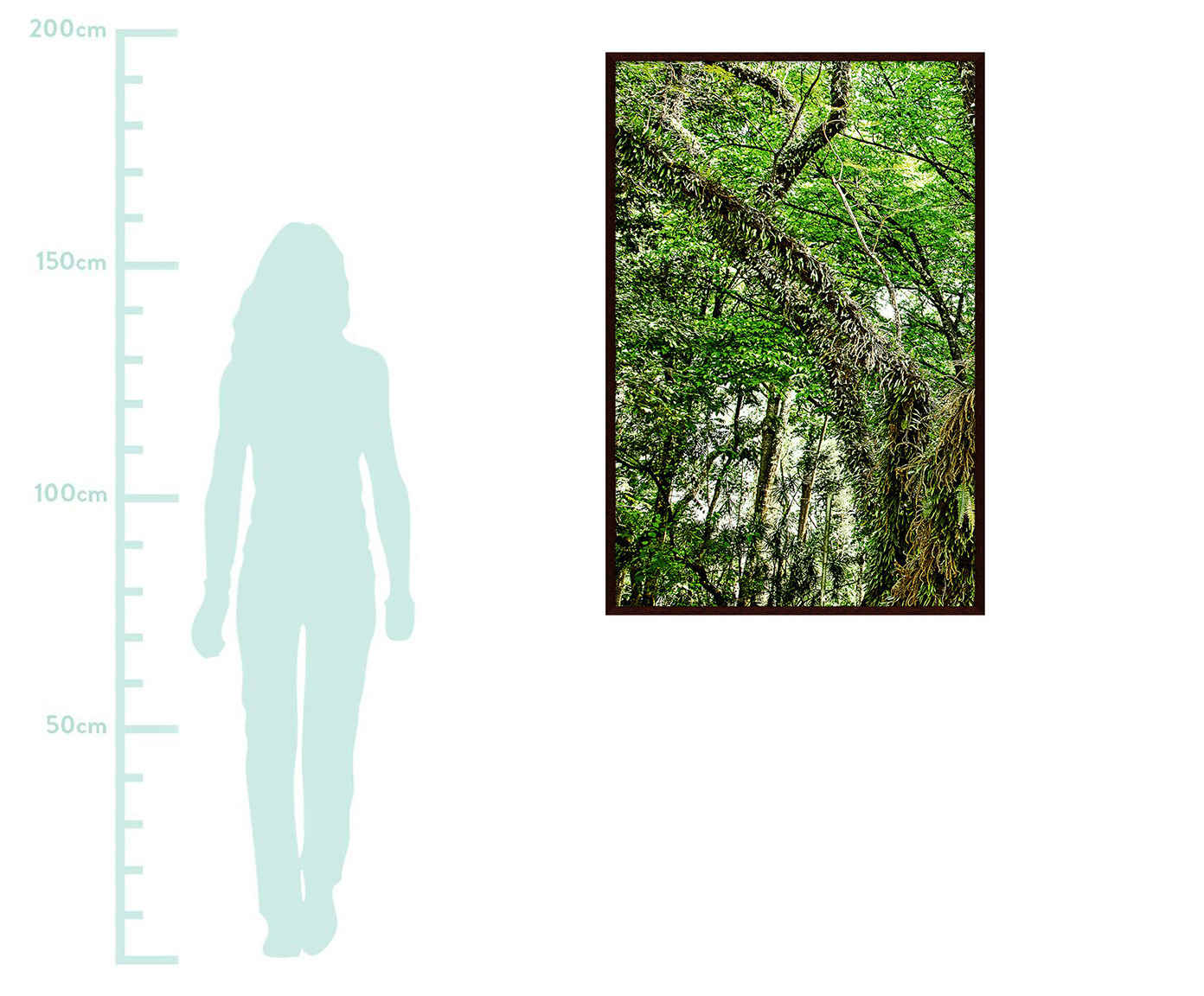 Quadro Save The Forest lll image number 1
