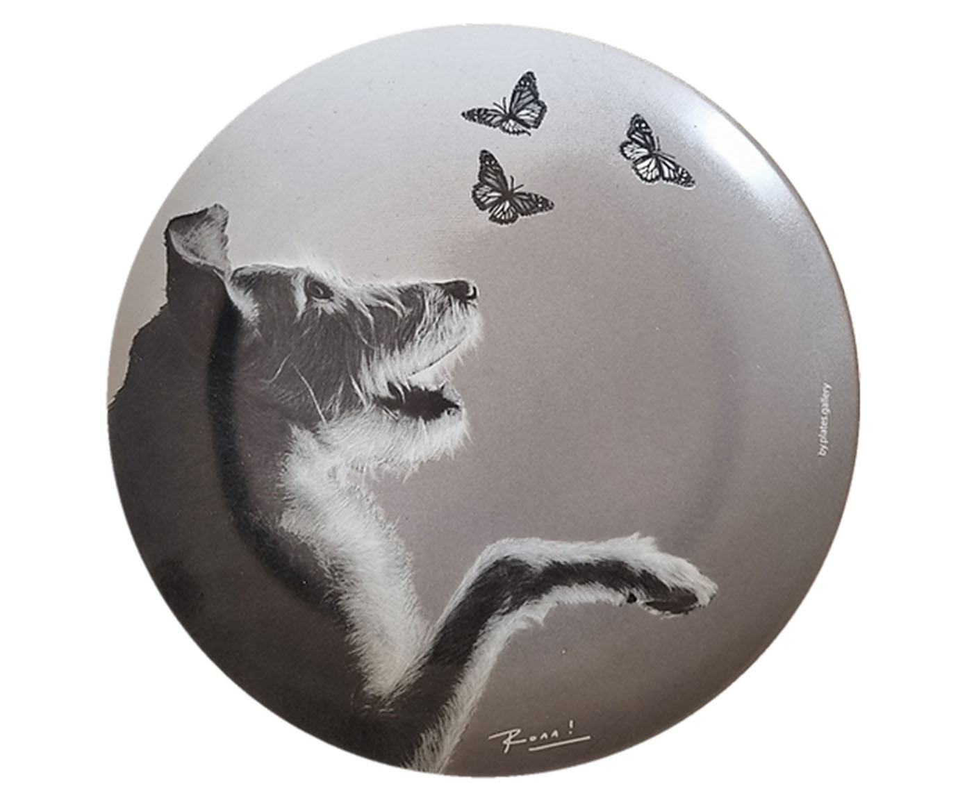 Prato de Porcelana Paco e A Borboleta Ronn Kools - image 0