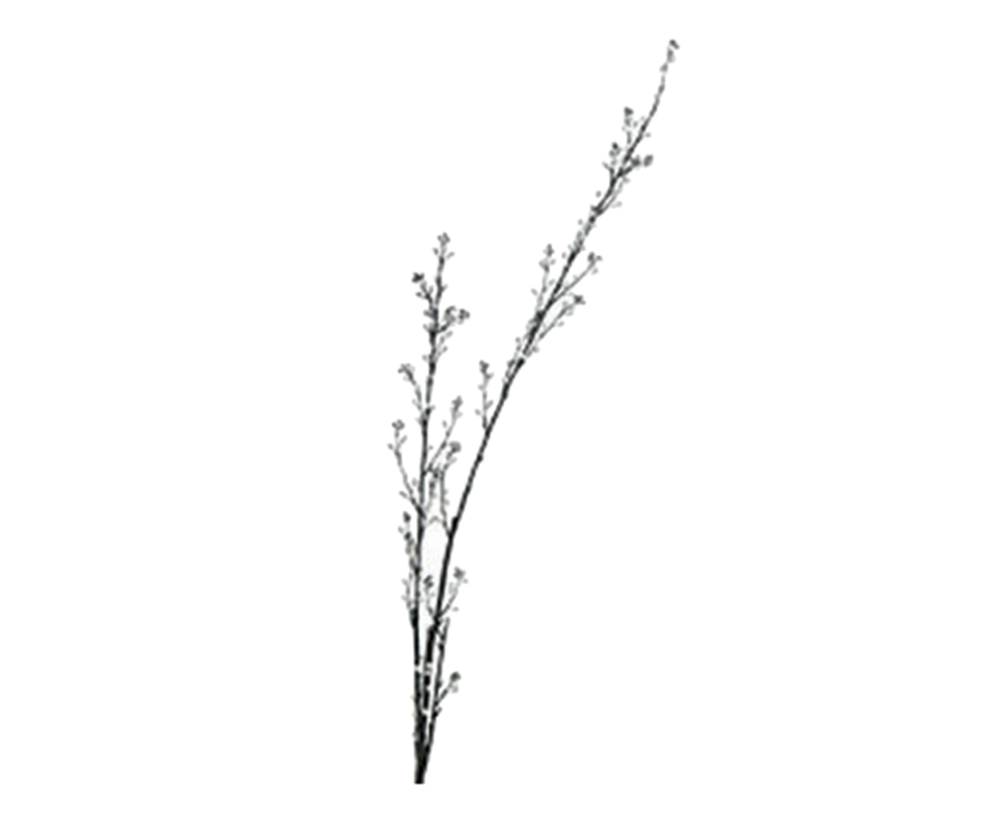 Galho Decorativo Hayon image number 0