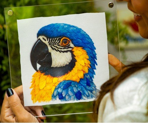 Quadro Acr&iacute;lico Arara Azul image number 2