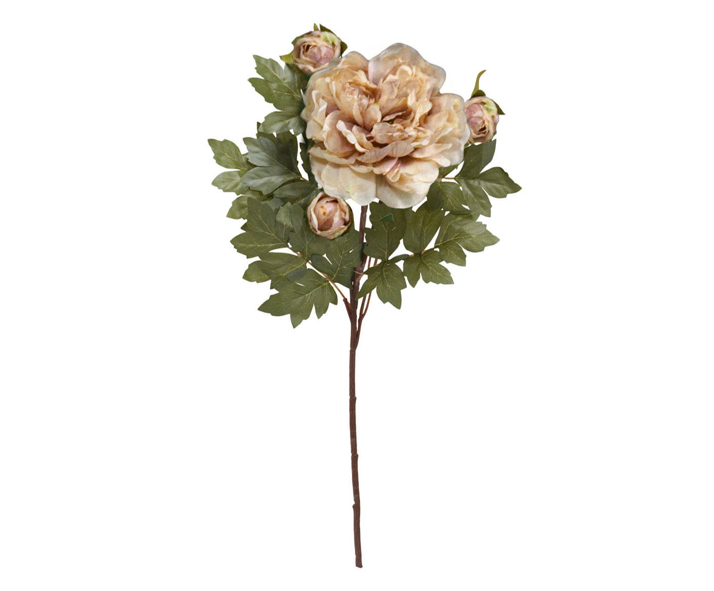 Flor Artificial Peronia Rookwood - image 0