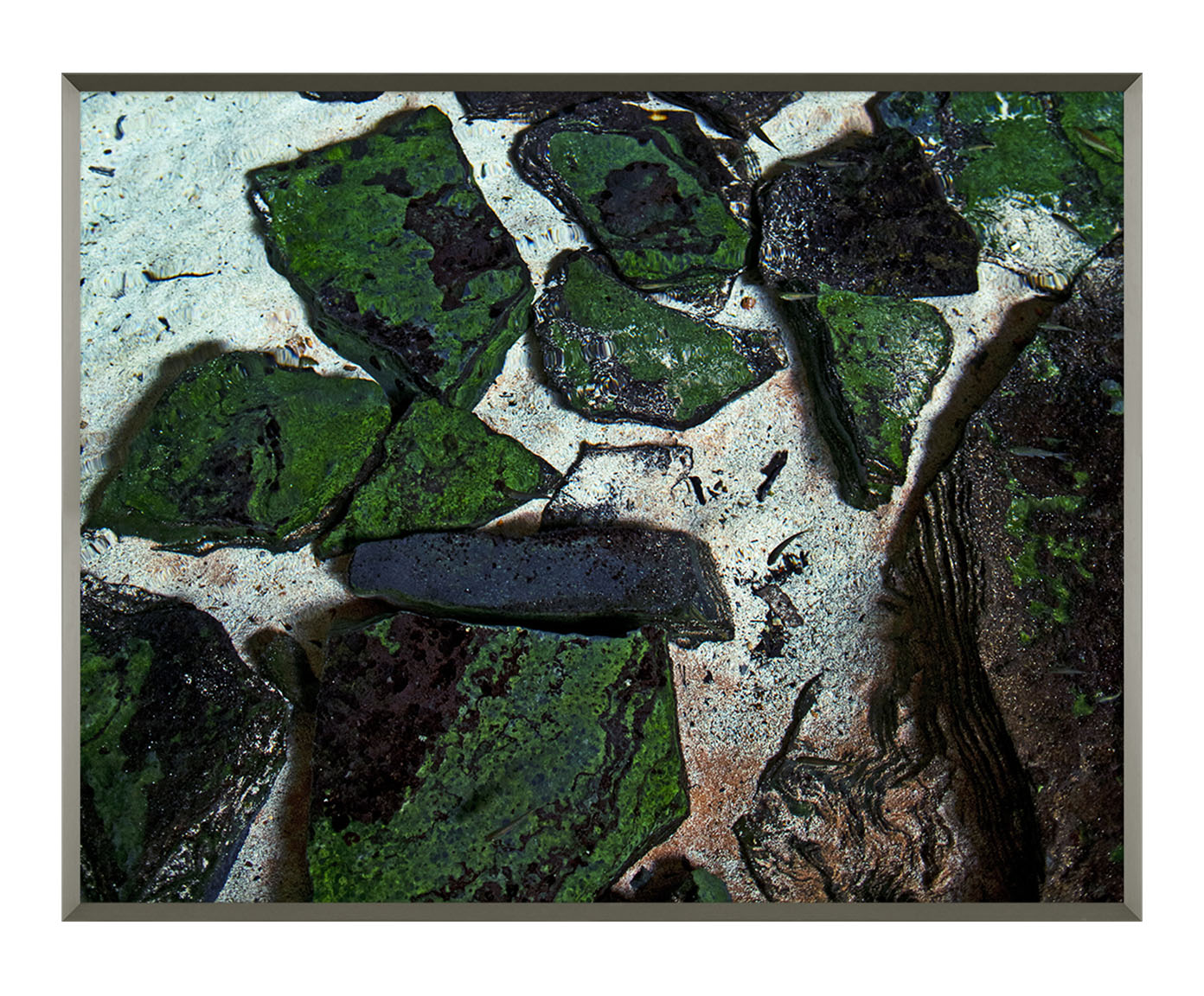 Quadro Nupeba - Reinaldo Giarola image number 0