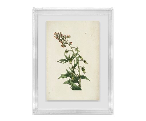 Quadro Artimage Artsy Flora image number 0