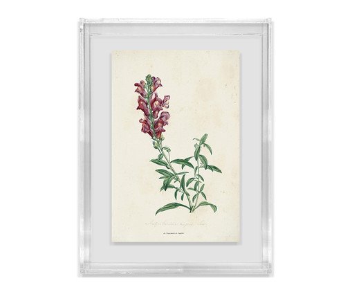 Quadro Artimage Artsy Sereno image number 0