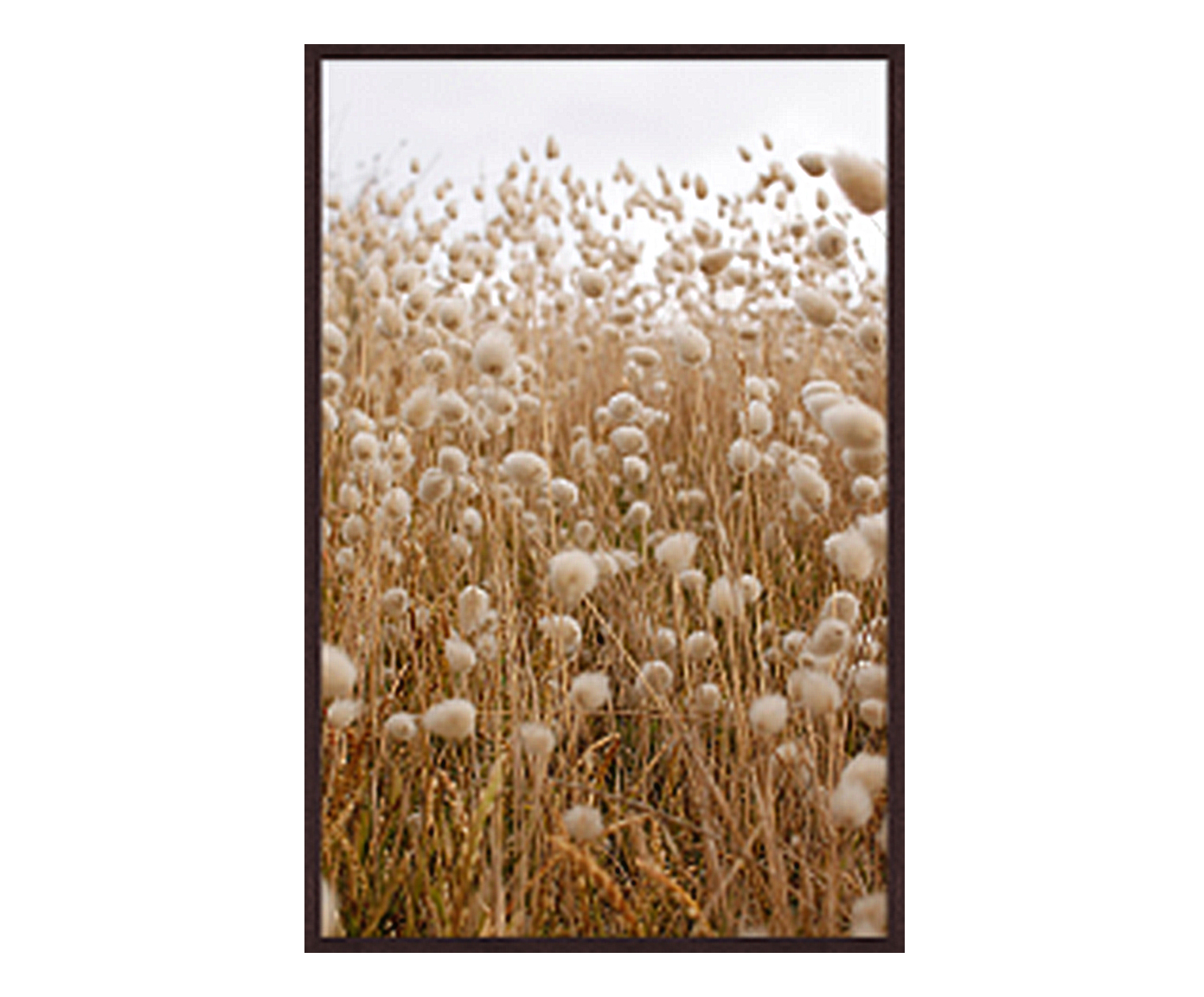 Quadro Artsy Schwarzenbek II - image 0