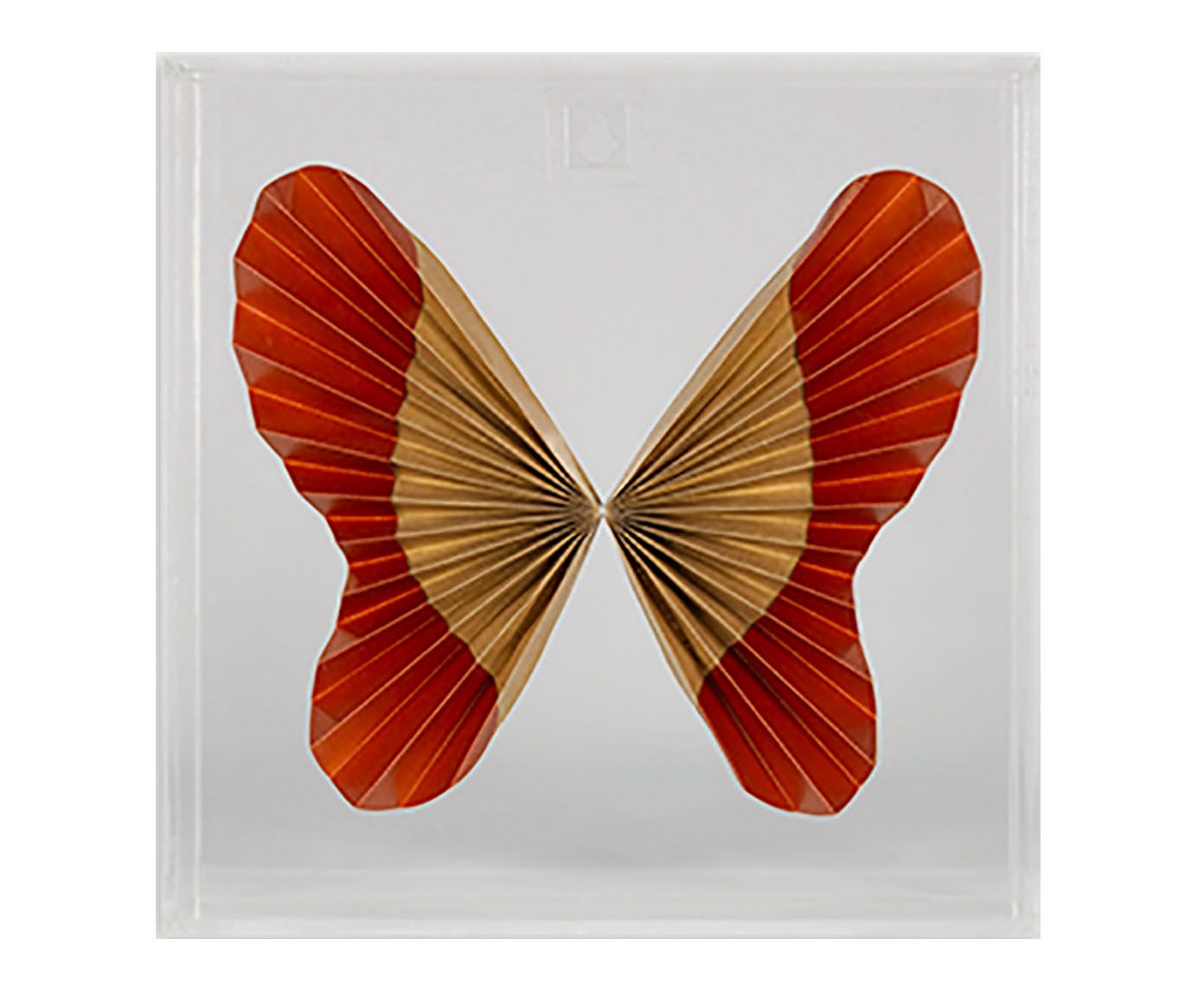 Caixa Decorativa Butterfly - image 0