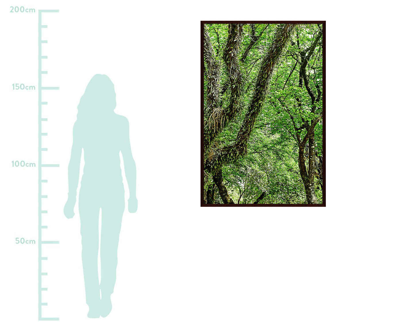 Quadro Save The Forest l image number 1
