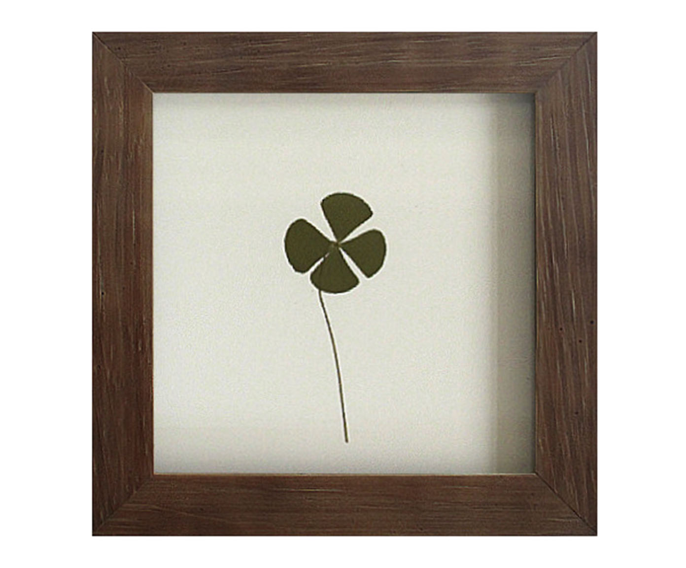 Quadro Trevo Imbuia image number 0