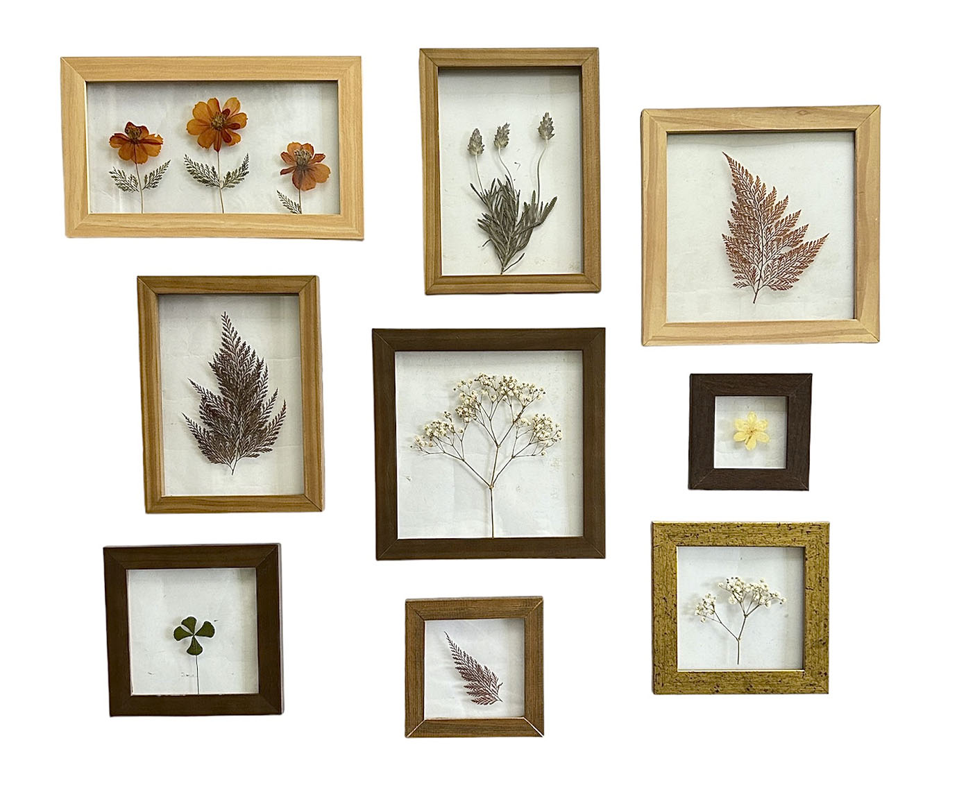 Quadro Cosmos Pinus image number 2