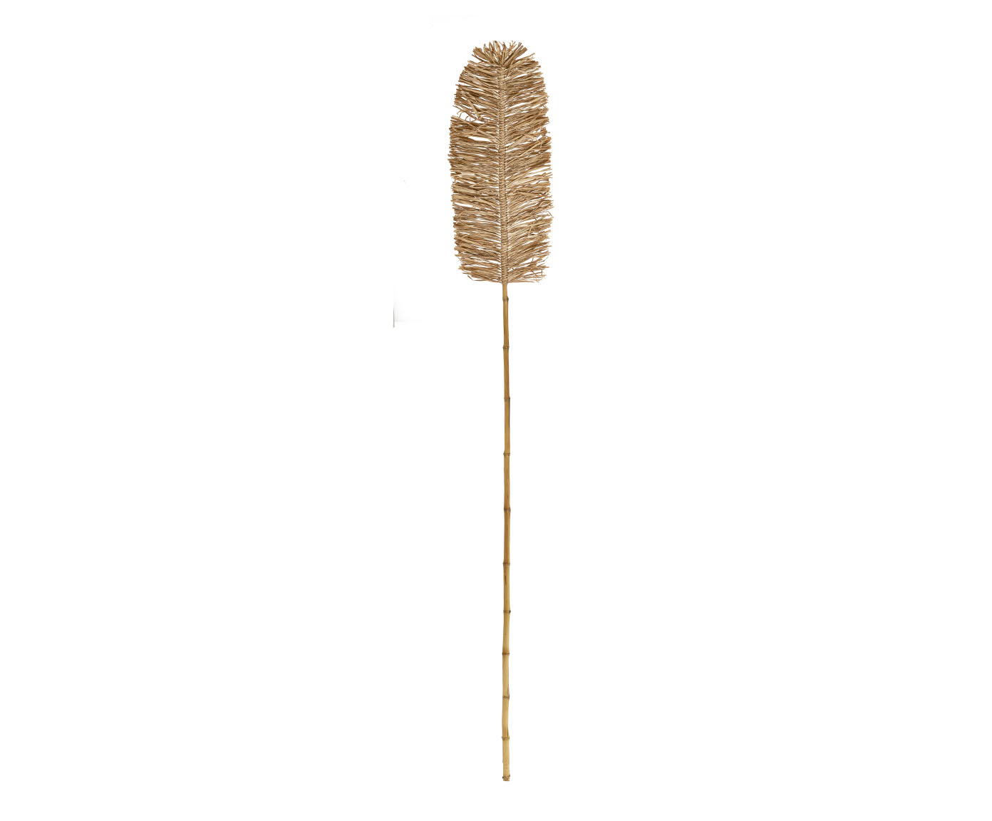 Folha Decorativa em Fibra Natural Alastair image number 0