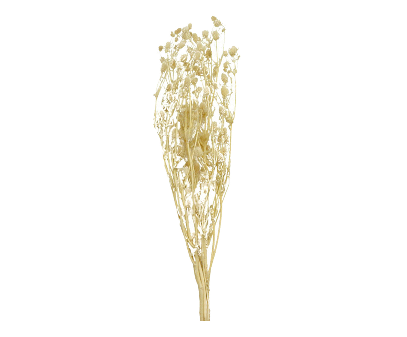 Ma&ccedil;o de Folhas Secas Decorativo Grevillea image number 0