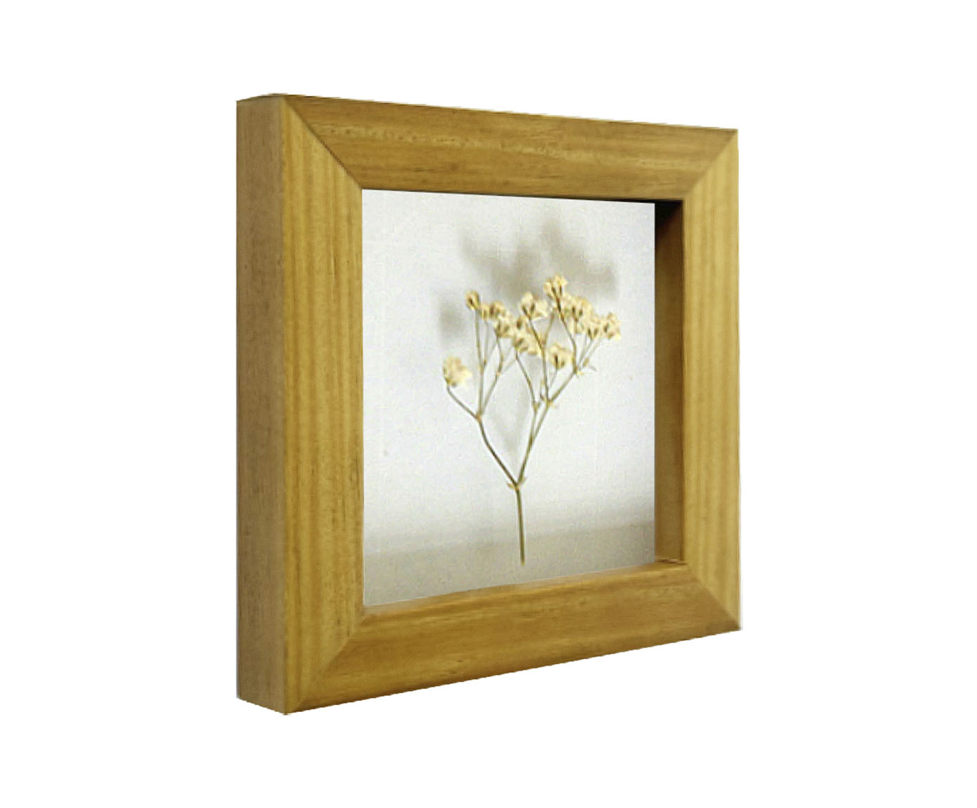 Quadro Mosquitinho Mel image number 1
