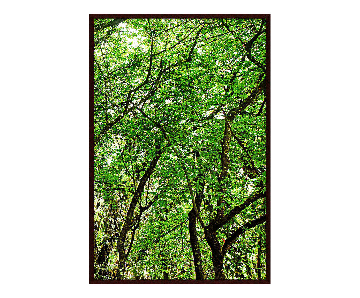 Quadro Save The Forest ll image number 0