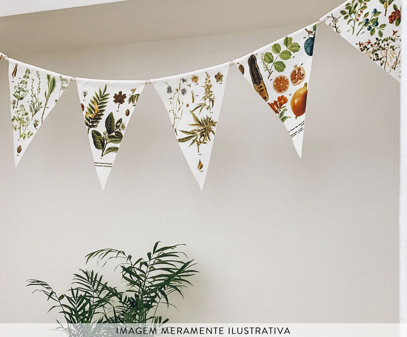 Bandeirolas Herbarium image number 1